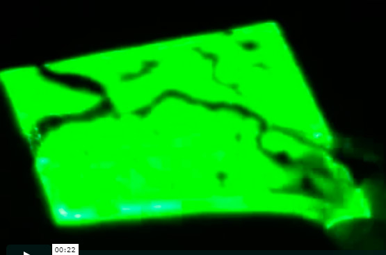 Vein Viewer